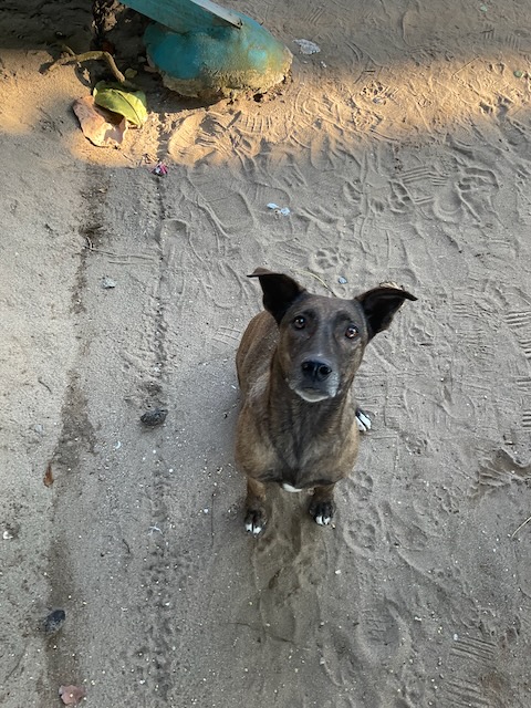 Omar — photo 1 of 1